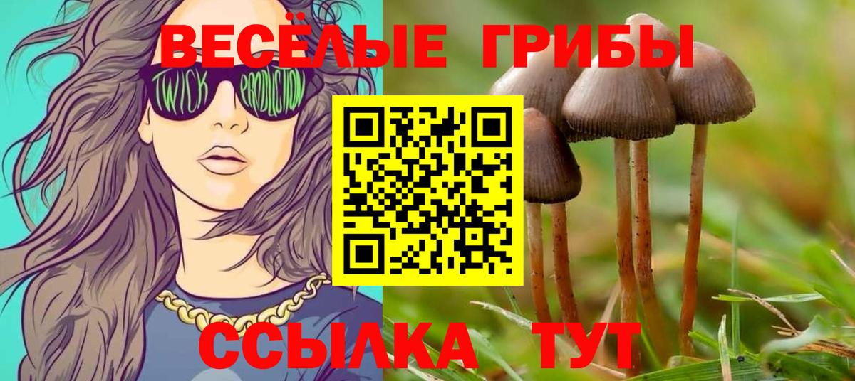 Калининград  Галлюциногенные грибы Magic Shrooms  Вход с VPN 
